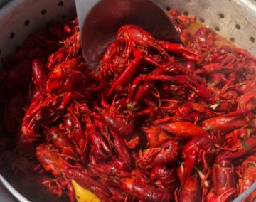 Louisiana crawfish catering for Pecos, TX